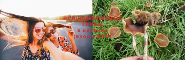 СК Арсеньев