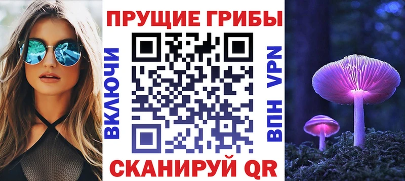 наркота  KRAKEN ссылки  Галлюциногенные грибы ЛСД  Сураж 
